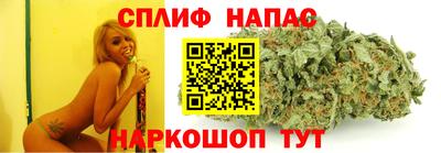 сатива Гусев